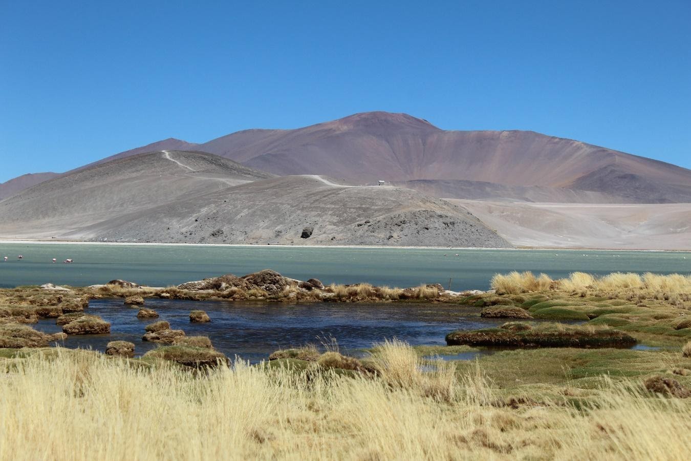 Trabajo de campo de MEC Consultores